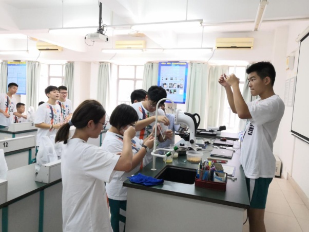 image005.jpg image005.jpg