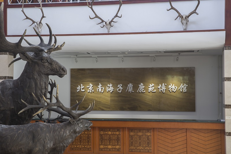 博物馆前厅.jpg 博物馆前厅.jpg