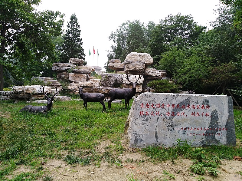 习近平生态文明教育路径.jpg 习近平生态文明教育路径.jpg