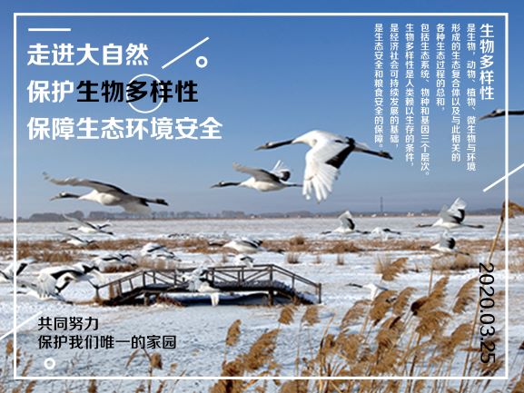 ?；ど锒嘌?jpg