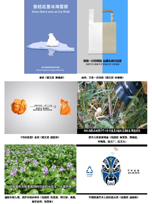 结果揭晓图333.png 结果揭晓图333.png