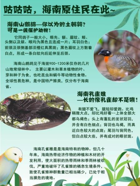 海南珍稀物种科普1.jpg