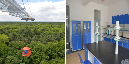 林冠塔吊观测系统.png 林冠塔吊观测系统.png