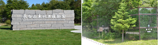 东北亚植物园.png 东北亚植物园.png