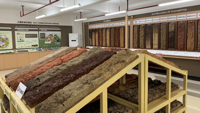 图3 广东土壤标本展厅1.jpg 图3 广东土壤标本展厅1.jpg