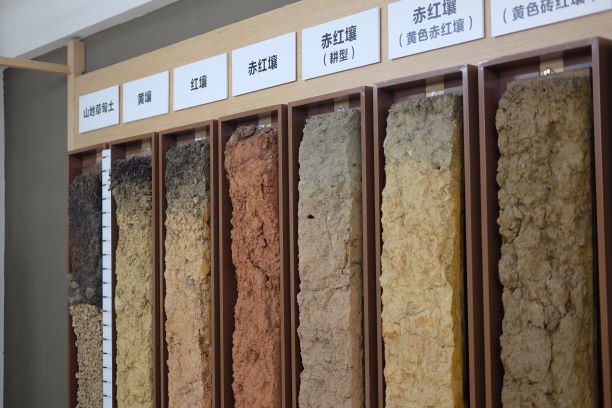 图3-2 馆藏土壤整段标本1.JPG 图3-2 馆藏土壤整段标本1.JPG