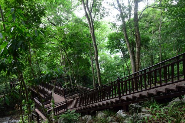 3兰花科普园户外场所.JPG 3兰花科普园户外场所.JPG