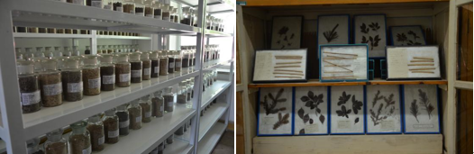 土壤标本.png 土壤标本.png