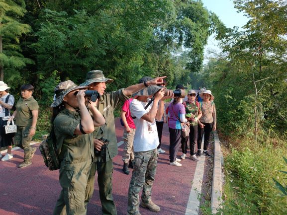 6自然教育活动.jpg 6自然教育活动.jpg