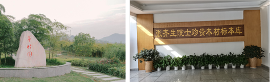 3翠竹园.png 3翠竹园.png