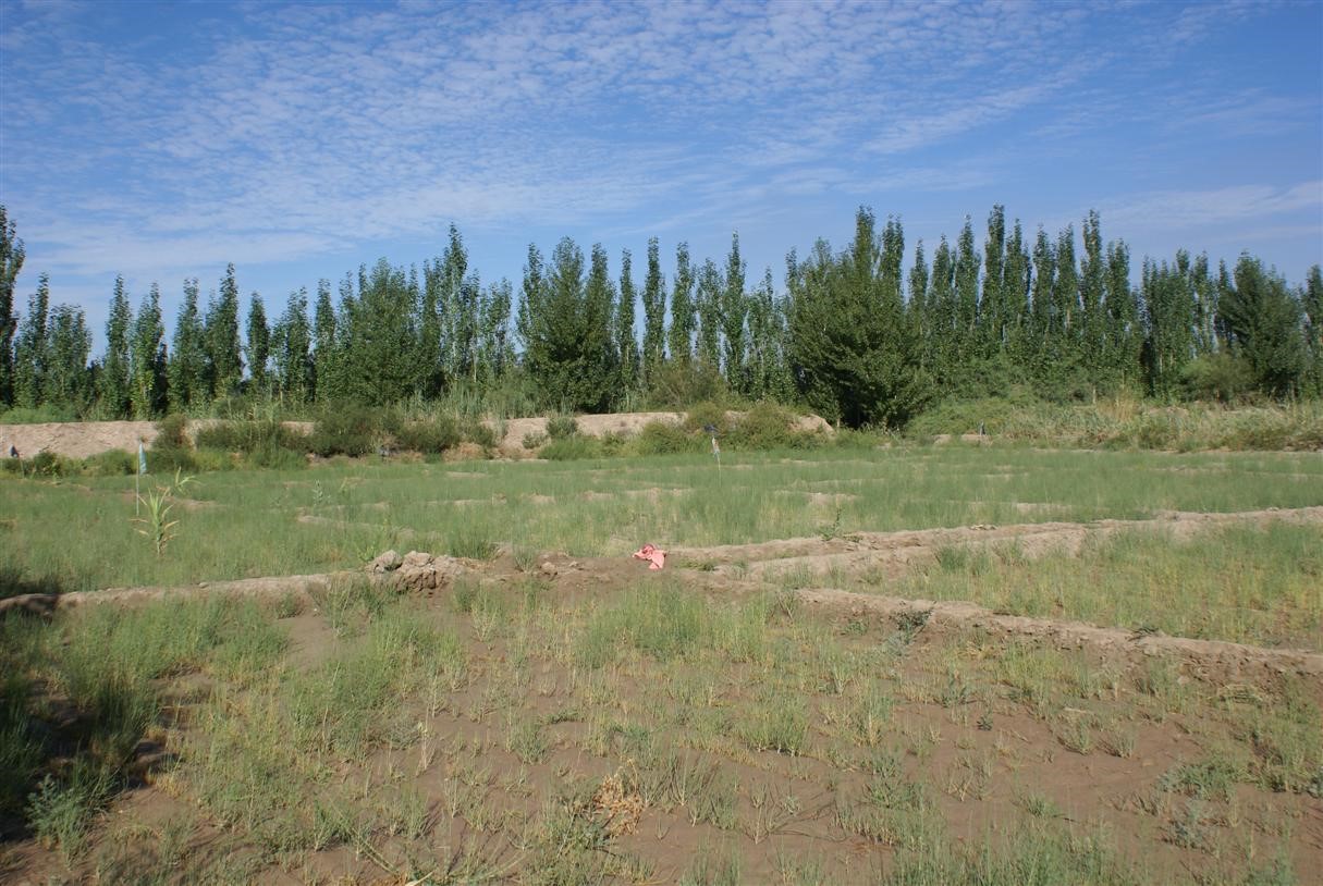 11?；で哪参镉缁?jpg