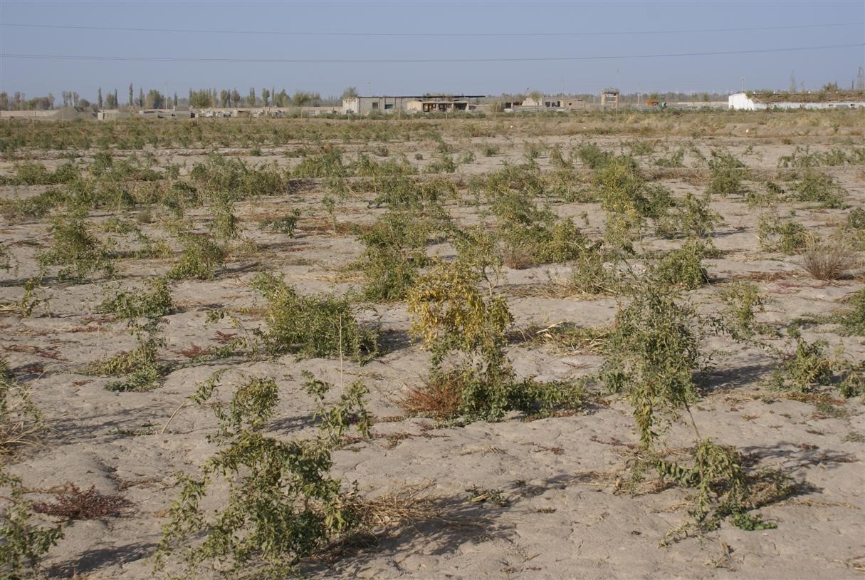 12?；で坭交?jpg