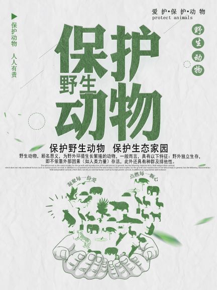 保护野生动物，维护生态家园！1.jpg
