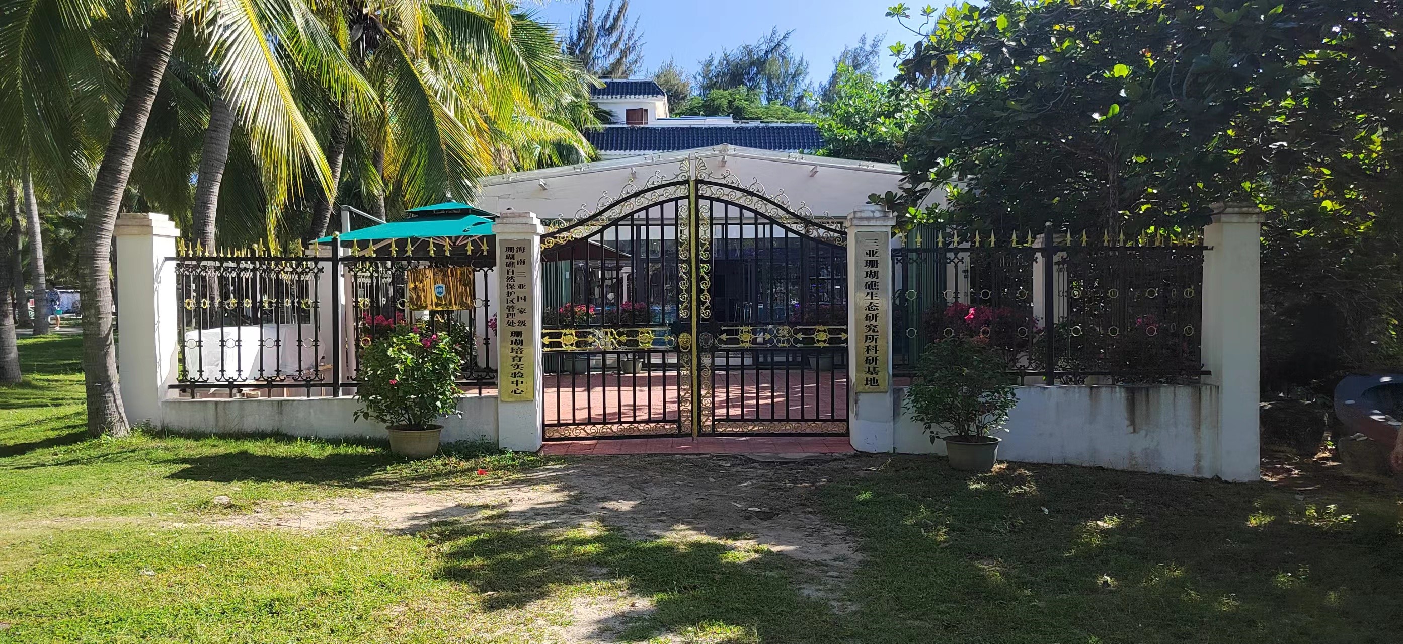 珊瑚培育实验中心.jpg 珊瑚培育实验中心.jpg