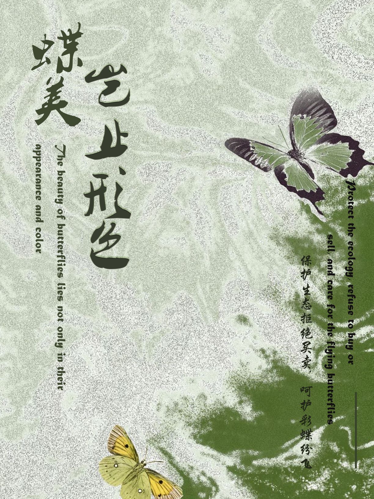 0276-蝶美岂止形色(赵贤、朱致远)(图文)1.蝶美岂止形色封面.jpg