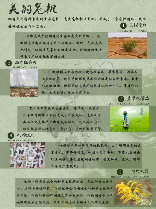 0276-蝶美岂止形色(赵贤、朱致远)(图文)8.美的?；?jpg