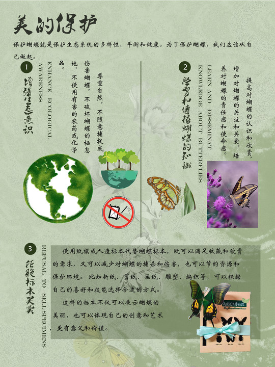 0276-蝶美岂止形色(赵贤、朱致远)(图文)9.美的?；?jpg