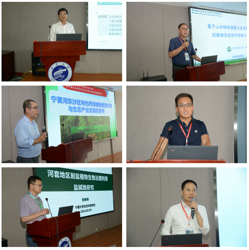 1723600369112.png 1723600369112.png