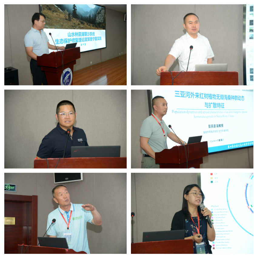 1723600392376.png 1723600392376.png