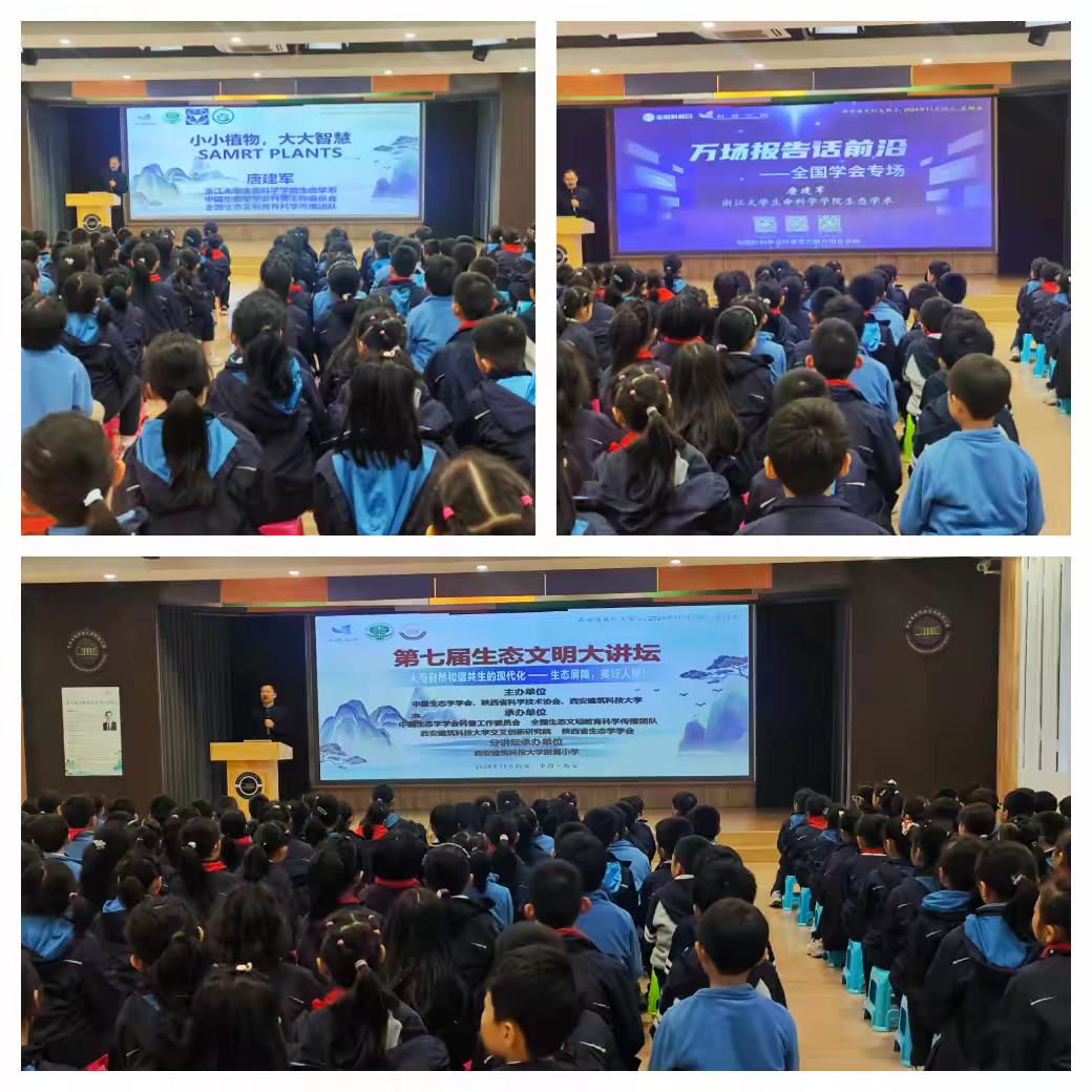 西安建筑科技大学附属小学1.png 西安建筑科技大学附属小学1.png