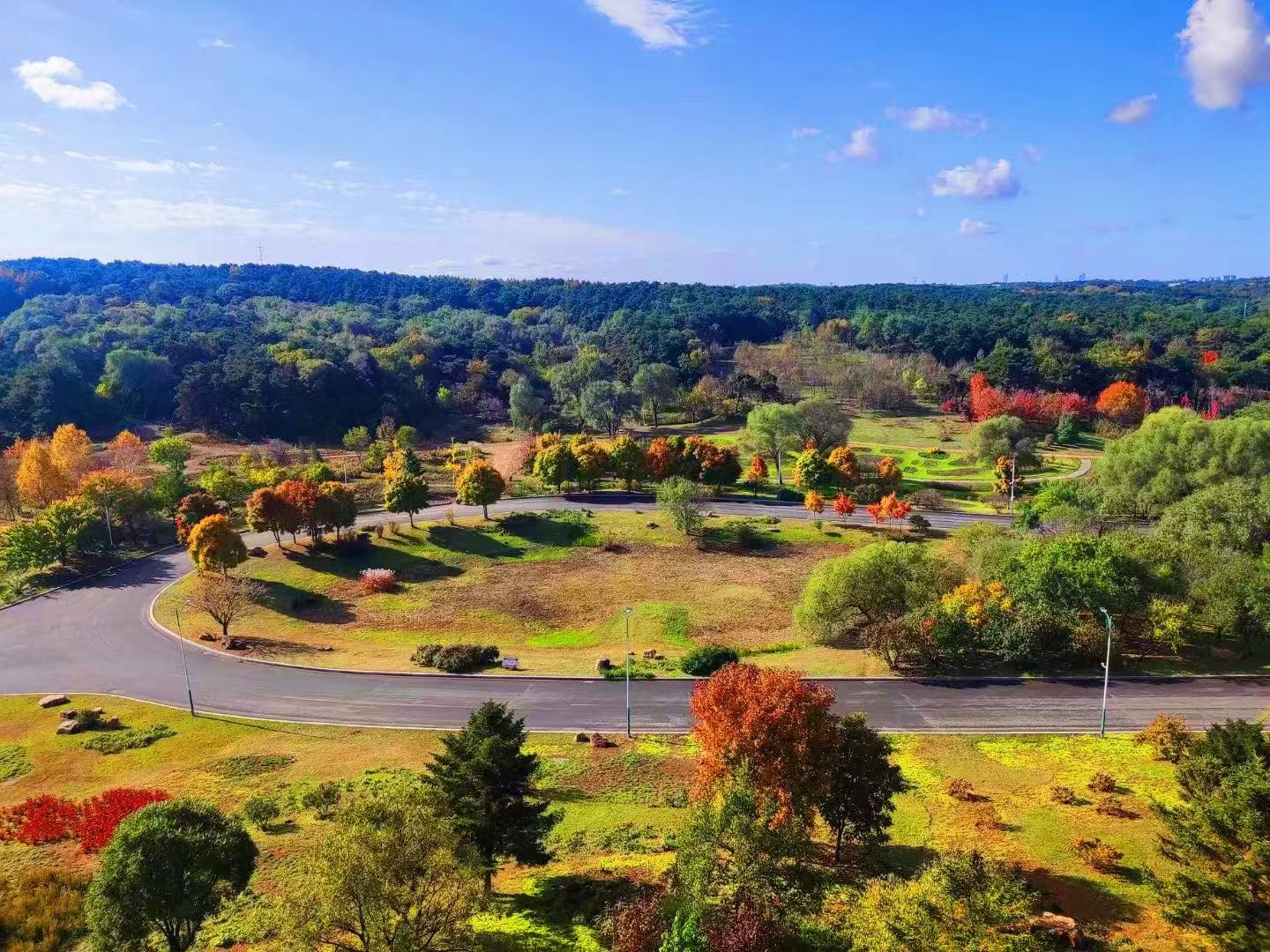 辉山园区 (1).jpg