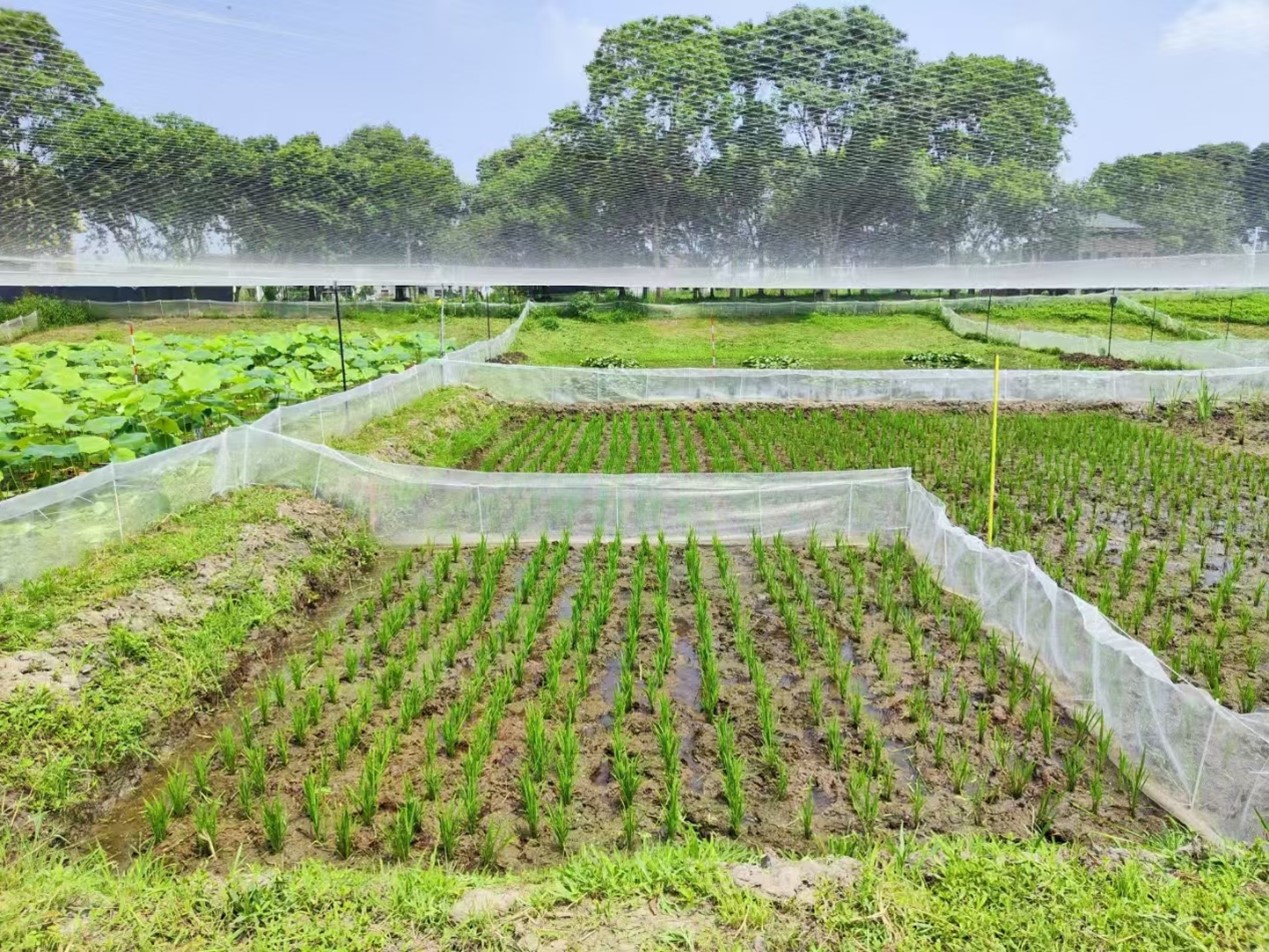 图片5.jpg 图片5.jpg