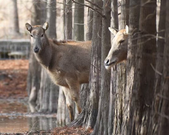 图片7.jpg 图片7.jpg