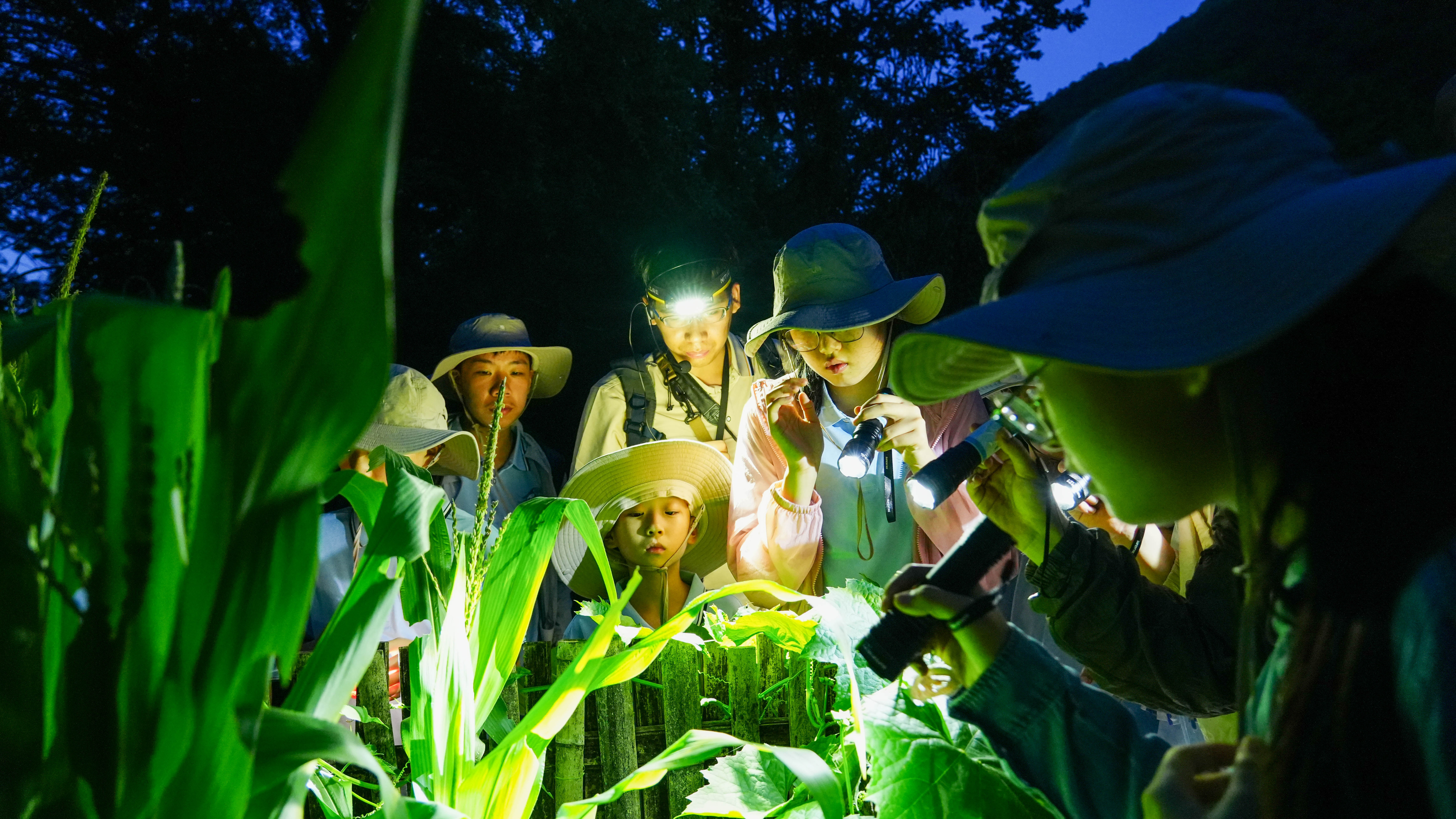 “多彩自然 探寻武夷山” (2).jpg