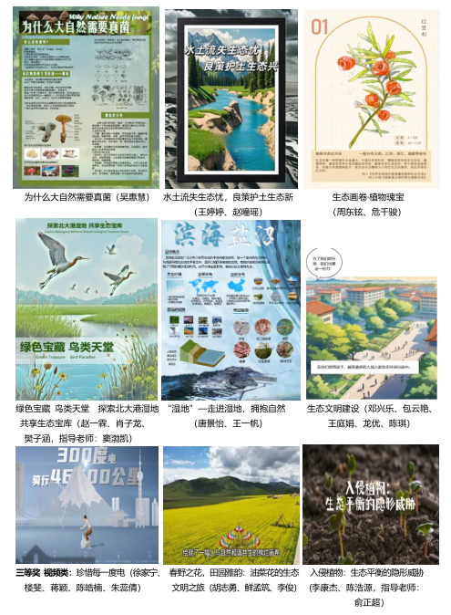 作品大赛66.png 作品大赛66.png