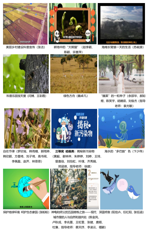 作品大赛77.png 作品大赛77.png