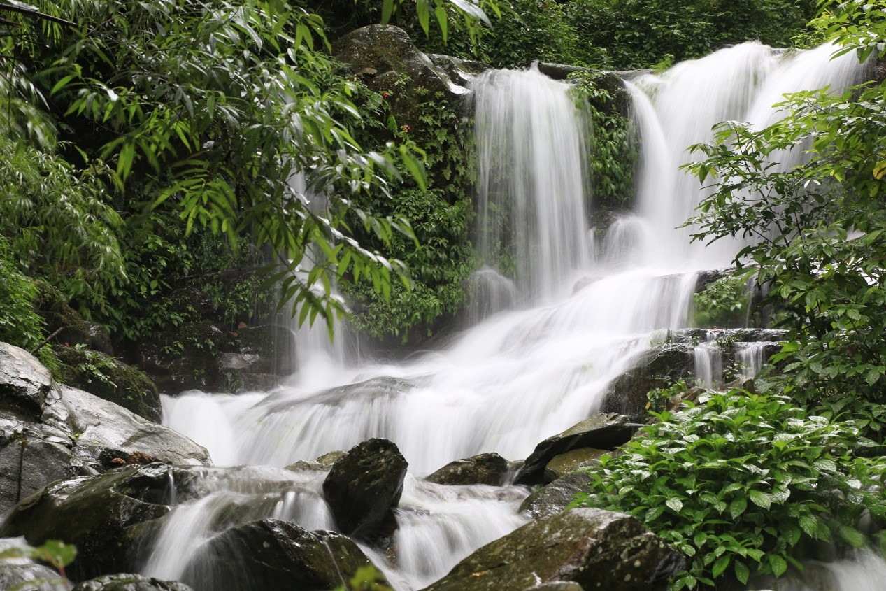 岑王老山2.jpg 岑王老山2.jpg