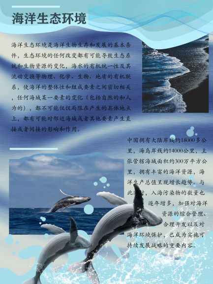 0229-海洋生态系统修复(陆玮琳)(图文)2.jpg