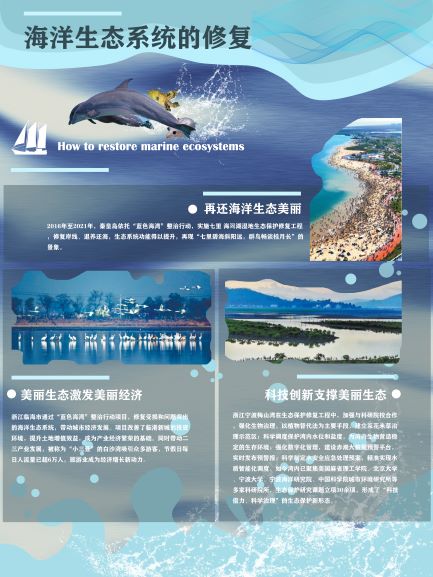 0229-海洋生态系统修复(陆玮琳)(图文)7.jpg