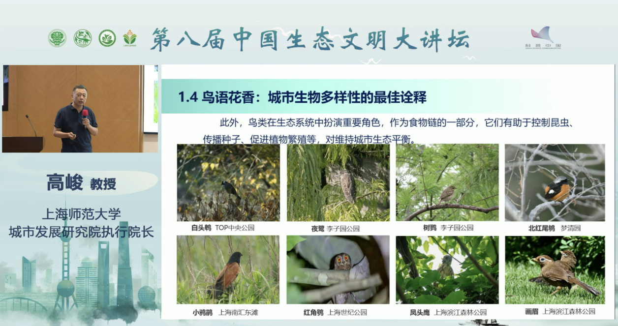 高峻.png 高峻.png