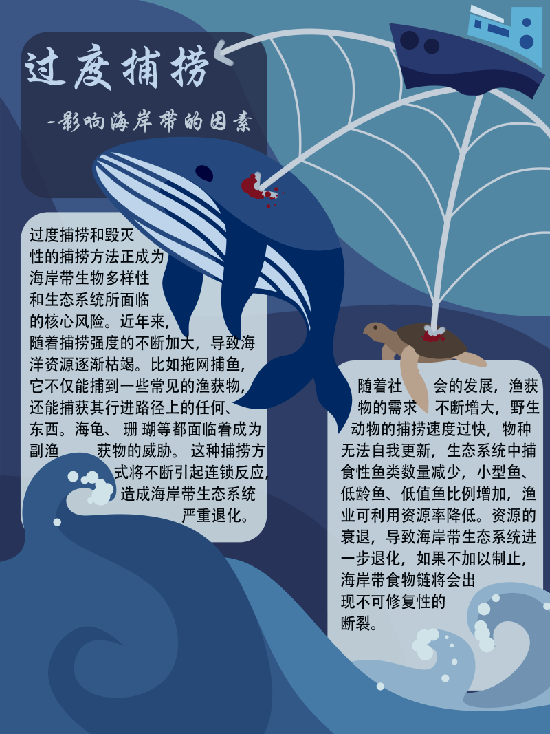 0267-修复与治理海岸带生态系统(谢依霖、吕威娜、金玫彤、徐洋、曹艺玮、郝雅琪)(图文)3-过度捕捞.png
