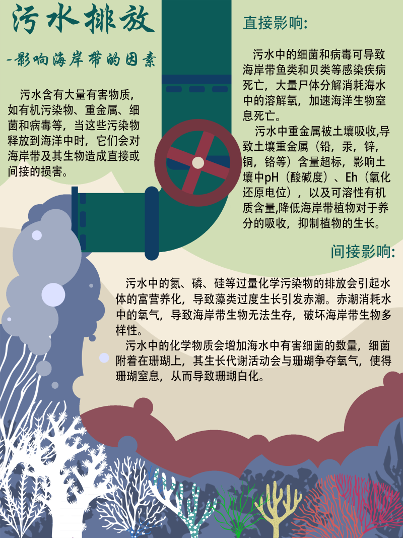 0267-修复与治理海岸带生态系统(谢依霖、吕威娜、金玫彤、徐洋、曹艺玮、郝雅琪)(图文)4-污水排放.png