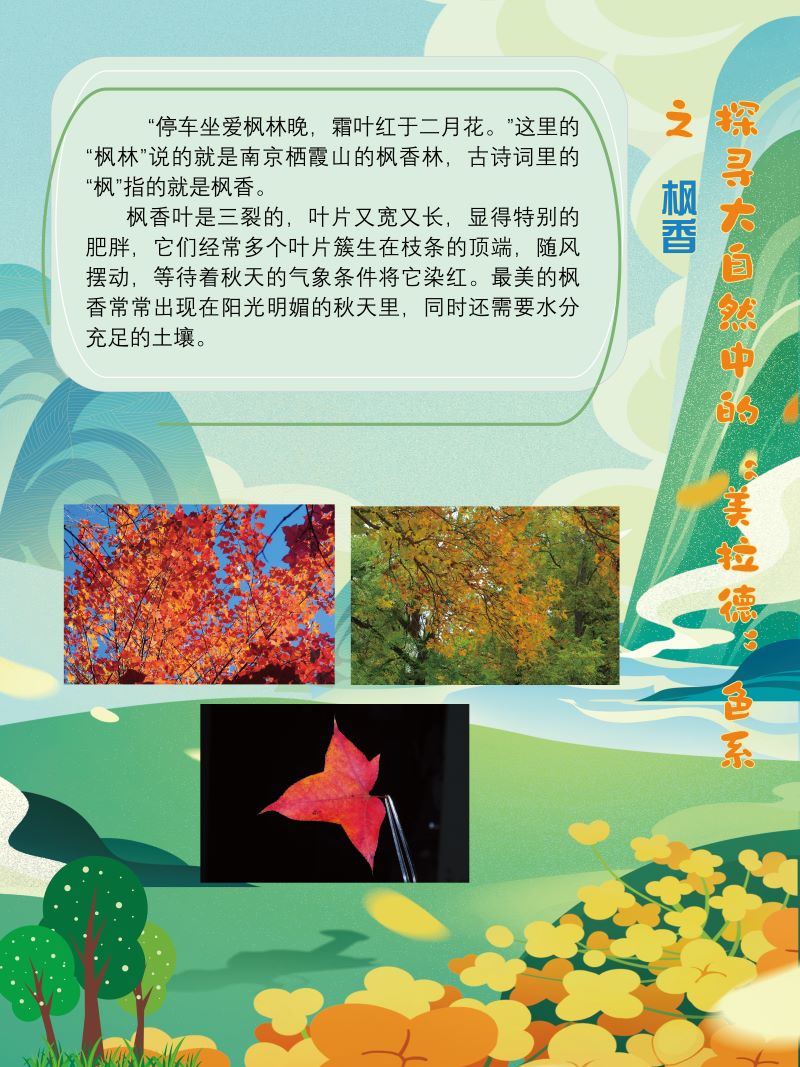 0273-探寻大自然中的“美拉德”色系(植物篇)(韩玉洁、张文文、朱晓彤)(图文)4.jpg