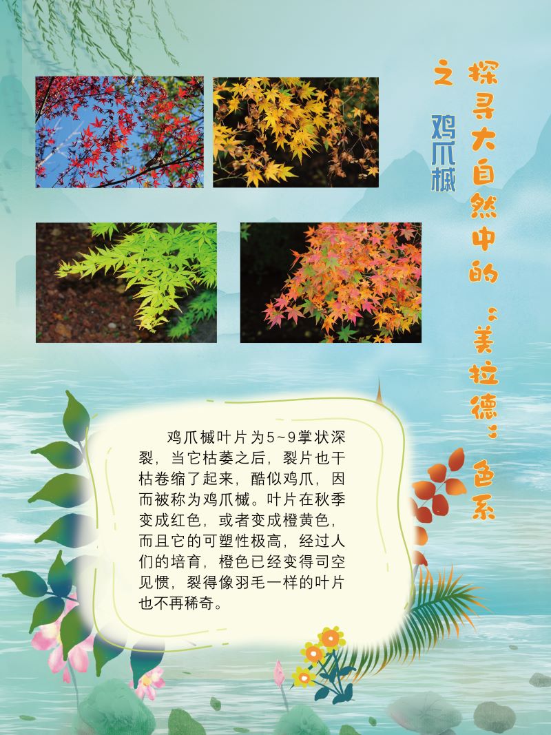 0273-探寻大自然中的“美拉德”色系(植物篇)(韩玉洁、张文文、朱晓彤)(图文)6.jpg