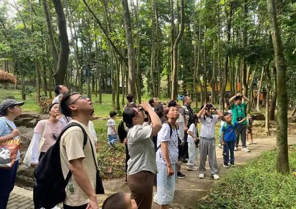 帽峰山候鸟寻2(1)