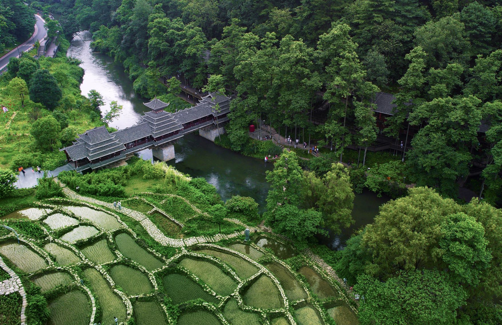 5户外科普基地-喀斯特梯塘小微湿地.jpg 5户外科普基地-喀斯特梯塘小微湿地.jpg