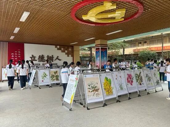 洛浦中学科普展览图片